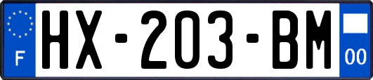 HX-203-BM