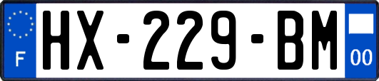 HX-229-BM
