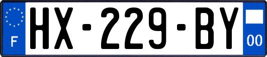 HX-229-BY