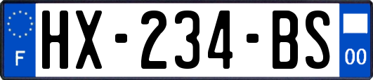 HX-234-BS