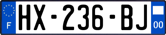 HX-236-BJ