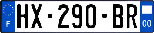 HX-290-BR