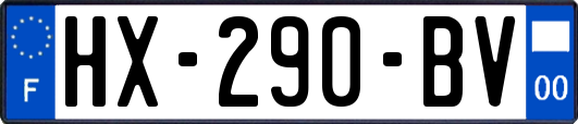 HX-290-BV