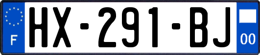 HX-291-BJ