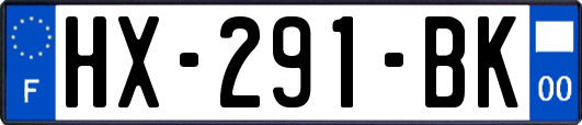 HX-291-BK