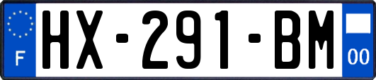 HX-291-BM