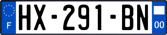 HX-291-BN