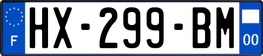 HX-299-BM