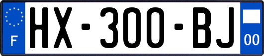 HX-300-BJ