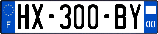 HX-300-BY