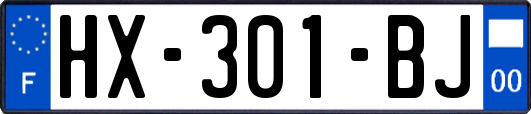 HX-301-BJ