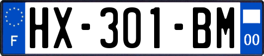 HX-301-BM