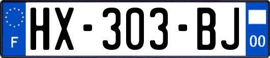 HX-303-BJ