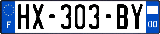 HX-303-BY