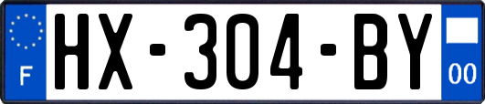 HX-304-BY