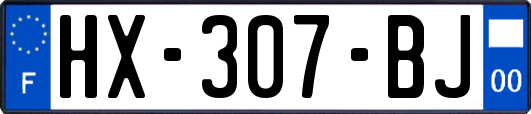 HX-307-BJ