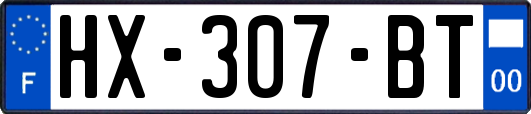HX-307-BT
