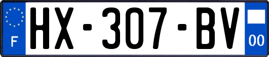 HX-307-BV