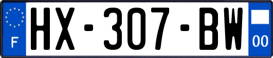 HX-307-BW