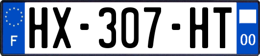 HX-307-HT