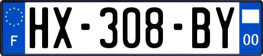 HX-308-BY