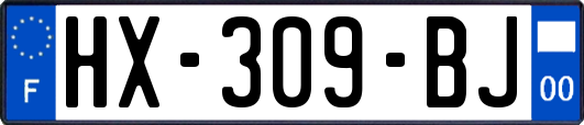 HX-309-BJ