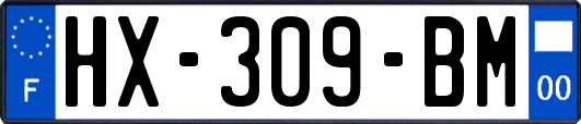 HX-309-BM