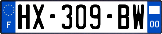 HX-309-BW