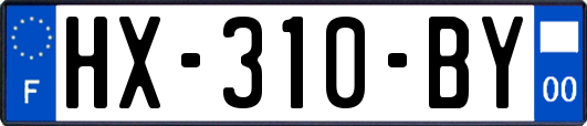 HX-310-BY