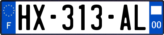 HX-313-AL