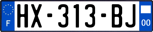 HX-313-BJ