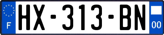 HX-313-BN