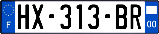 HX-313-BR