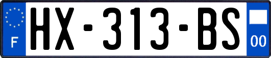 HX-313-BS