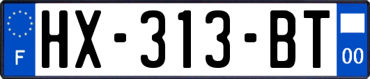 HX-313-BT