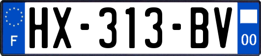 HX-313-BV