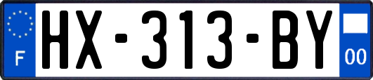HX-313-BY