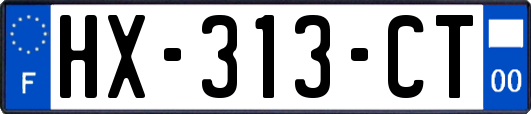 HX-313-CT