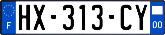 HX-313-CY