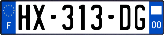 HX-313-DG