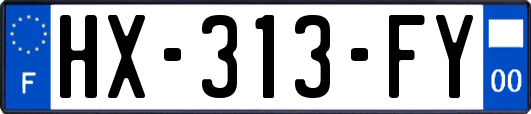 HX-313-FY