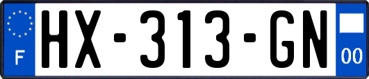 HX-313-GN