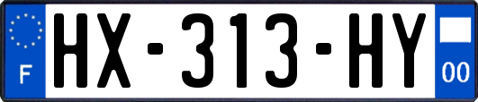 HX-313-HY