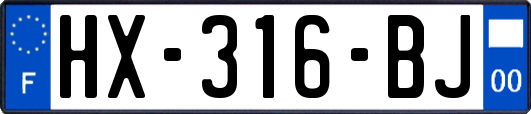 HX-316-BJ