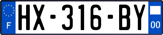 HX-316-BY