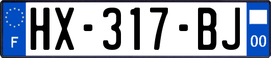 HX-317-BJ