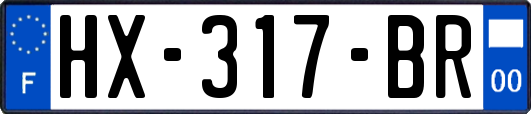 HX-317-BR