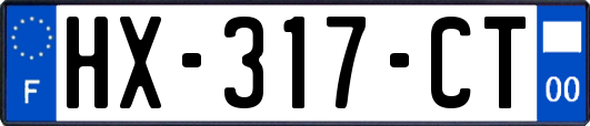 HX-317-CT