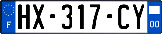 HX-317-CY