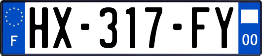 HX-317-FY